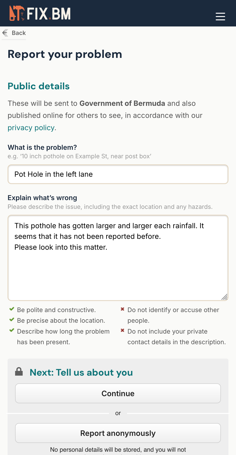 Mobile report form filled in with subject and description